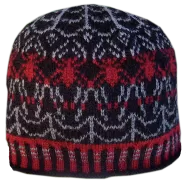 Arachne' Spider Handknit Hat